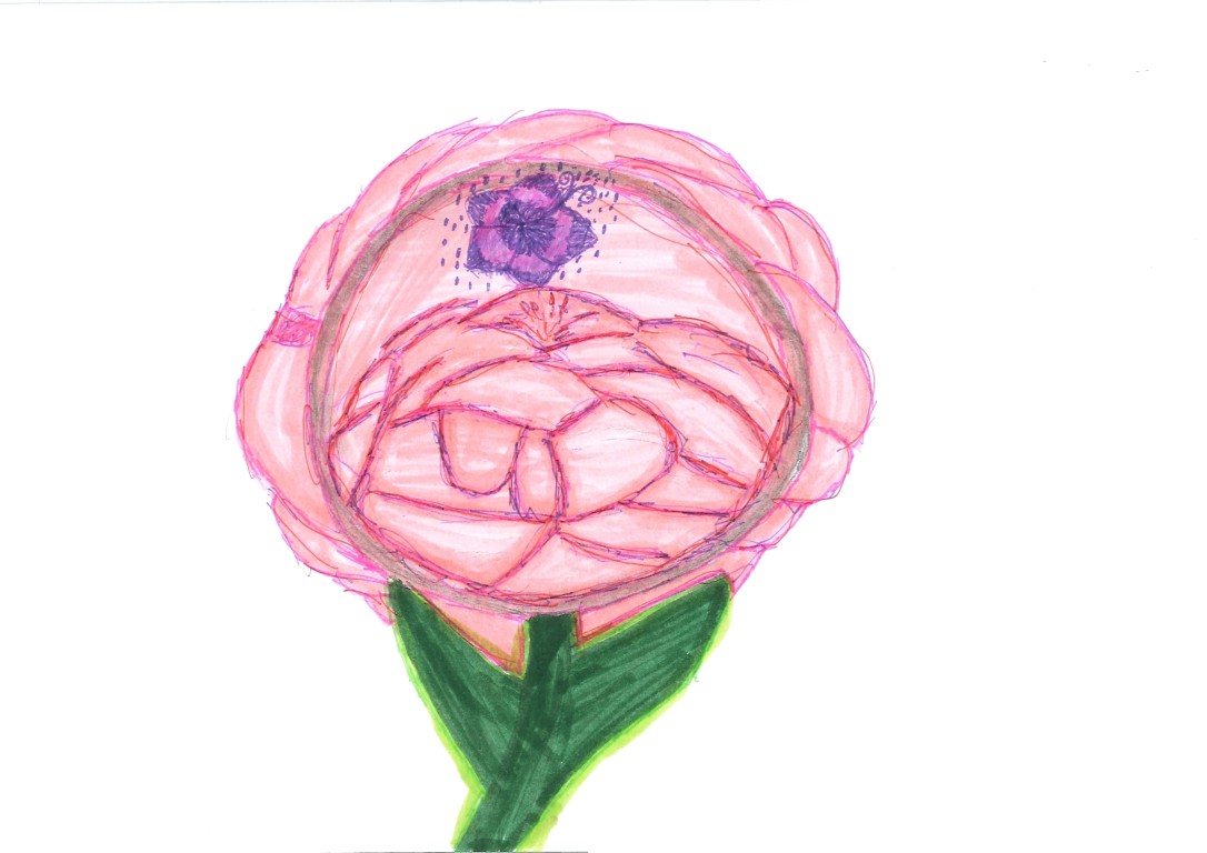 Jazmin - Blume